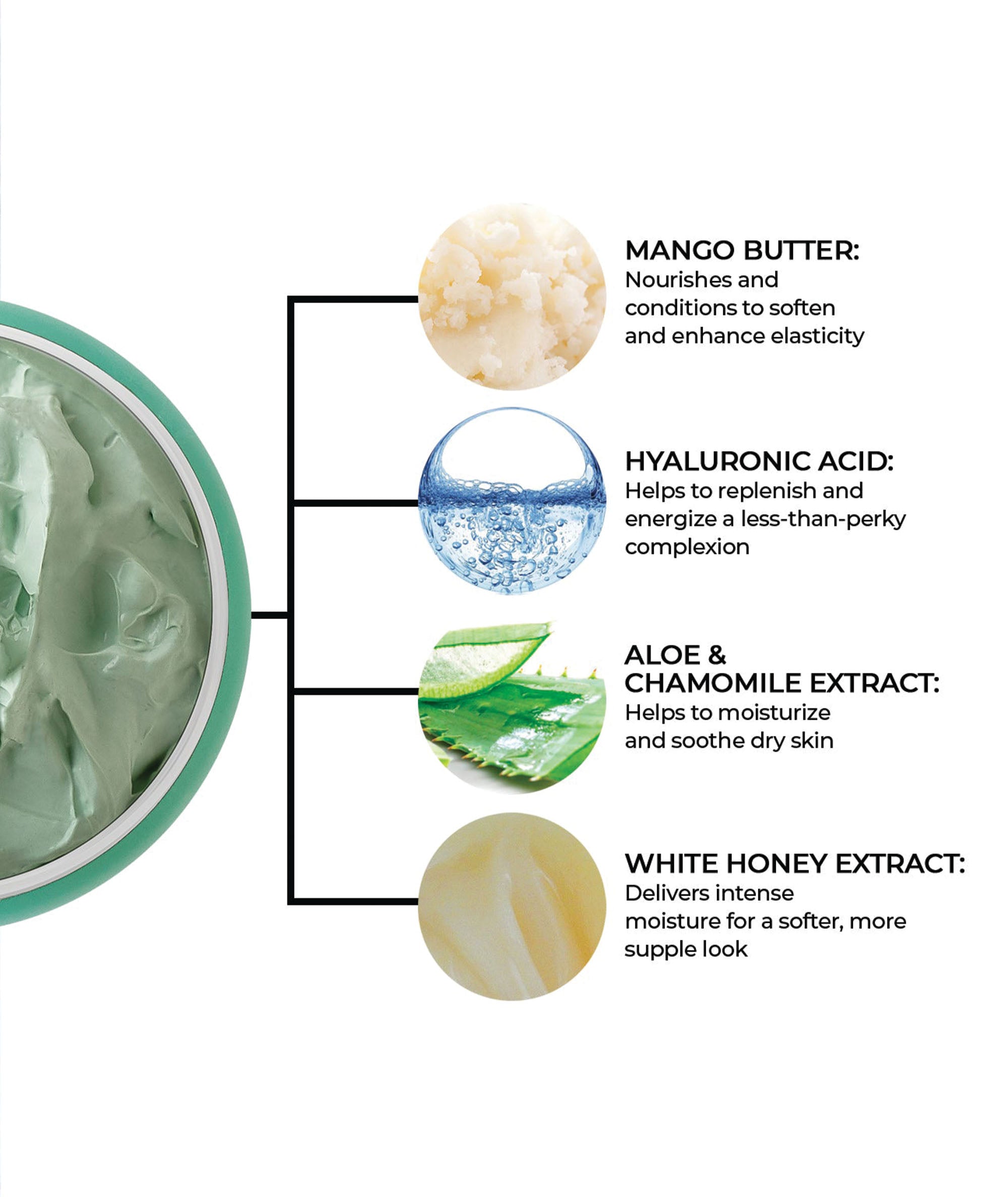 Ingredient infographic showing mango butter, Hyaluronic acid, Aloe & chamomile that nourish, condition, replenish, & moisturize